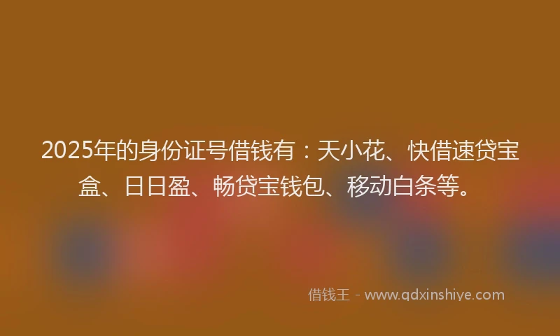 2025年的身份证号借钱有：天小花、快借速贷宝盒、日日盈、畅贷宝钱包、移动白条等。