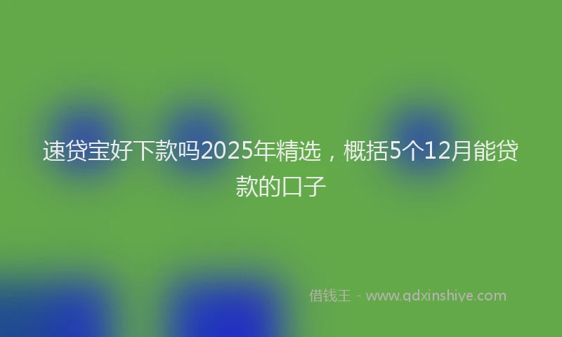 速贷宝好下款吗2025年精选，概括5个12月能贷款的口子