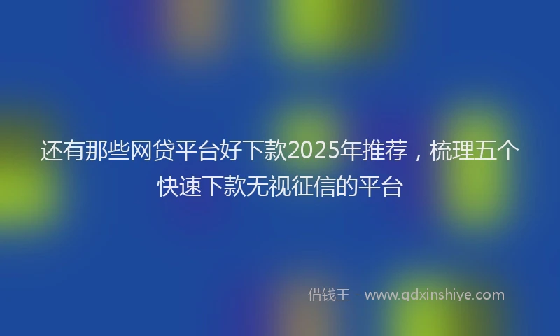 还有那些网贷平台好下款2025年推荐，梳理五个快速下款无视征信的平台
