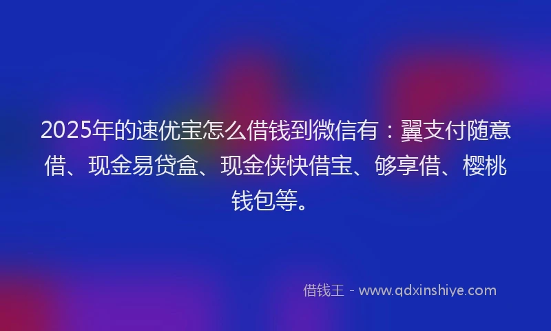 2025年的速优宝怎么借钱到微信有：翼支付随意借、现金易贷盒、现金侠快借宝、够享借、樱桃钱包等。