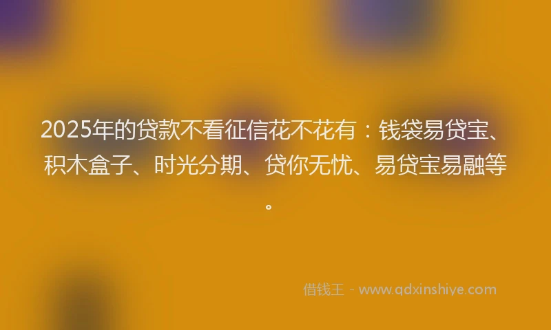 2025年的贷款不看征信花不花有：钱袋易贷宝、积木盒子、时光分期、贷你无忧、易贷宝易融等。