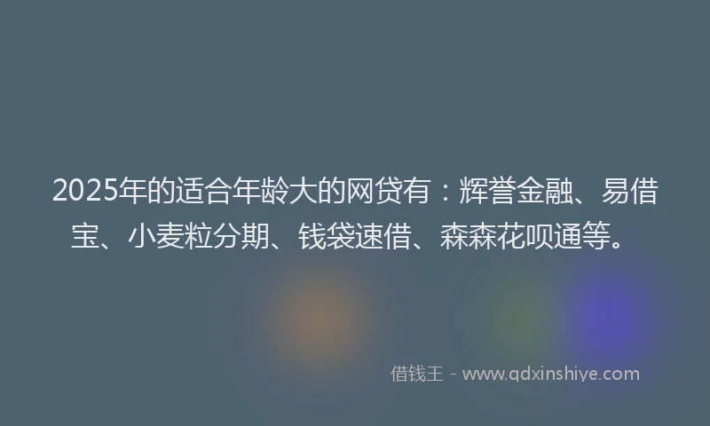 2025年的适合年龄大的网贷有：辉誉金融、易借宝、小麦粒分期、钱袋速借、森森花呗通等。
