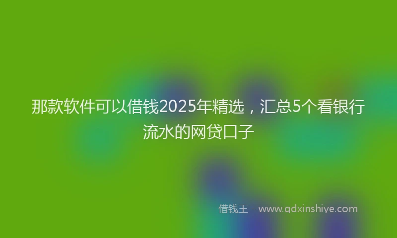 那款软件可以借钱2025年精选，汇总5个看银行流水的网贷口子