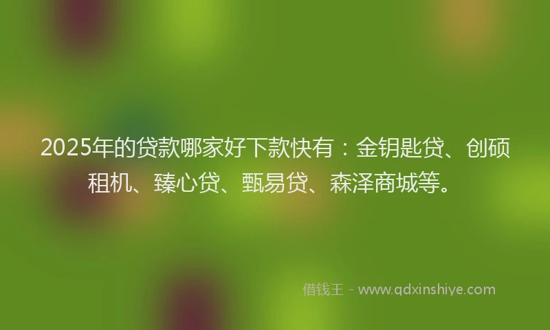 2025年的贷款哪家好下款快有：金钥匙贷、创硕租机、臻心贷、甄易贷、森泽商城等。
