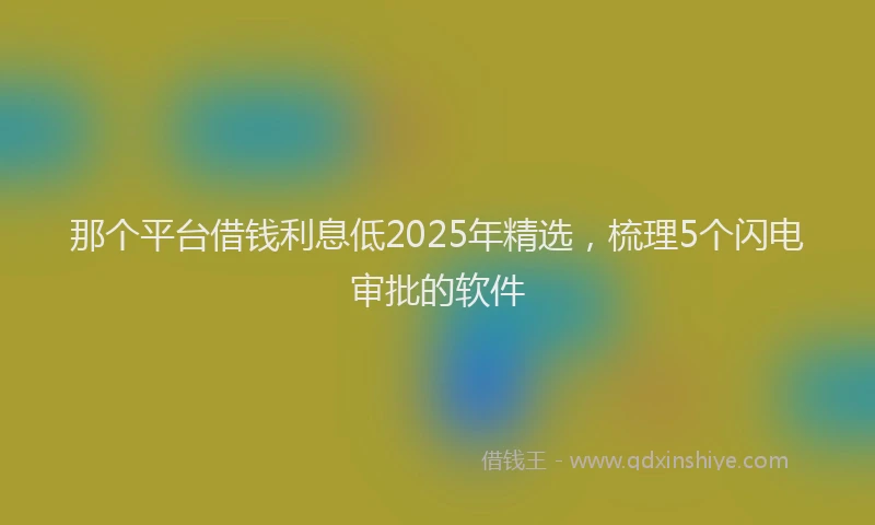 那个平台借钱利息低2025年精选，梳理5个闪电审批的软件