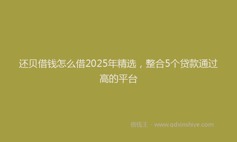 还贝借钱怎么借2025年精选，整合5个贷款通过高的平台