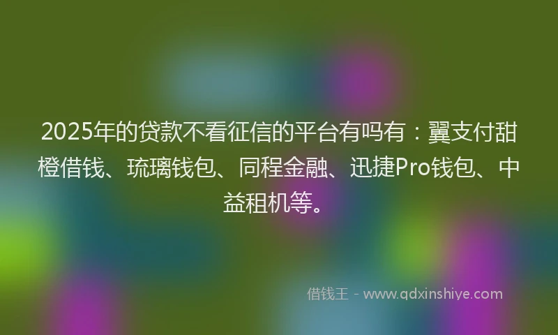 2025年的贷款不看征信的平台有吗有：翼支付甜橙借钱、琉璃钱包、同程金融、迅捷Pro钱包、中益租机等。