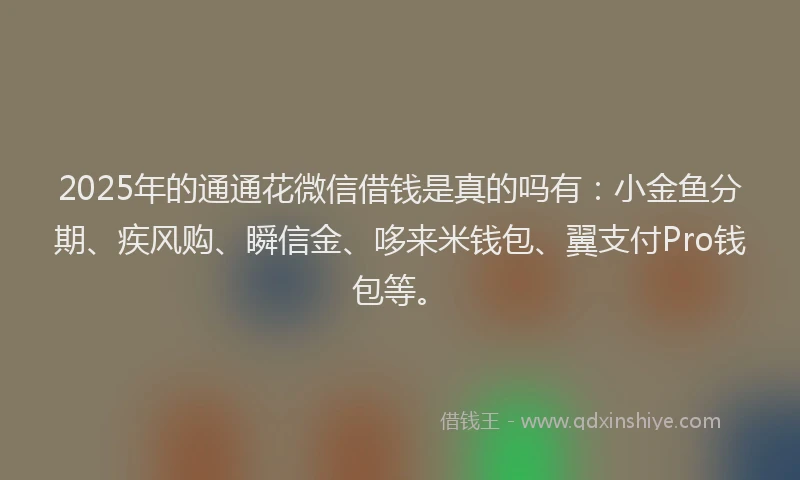2025年的通通花微信借钱是真的吗有：小金鱼分期、疾风购、瞬信金、哆来米钱包、翼支付Pro钱包等。