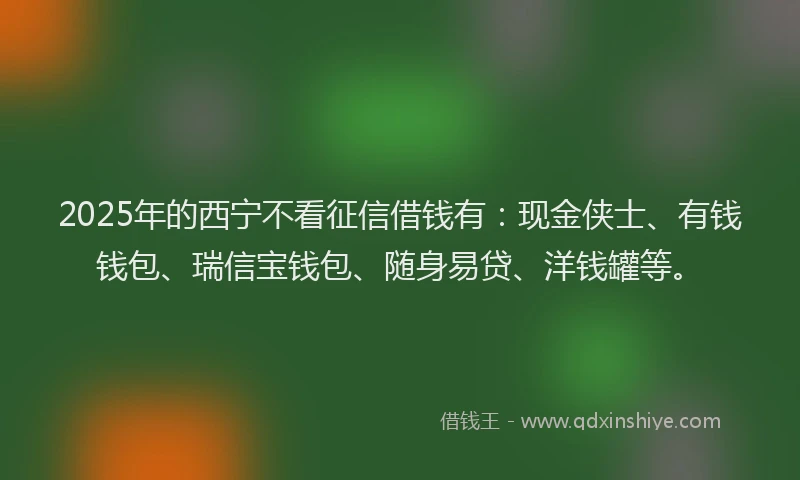 2025年的西宁不看征信借钱有：现金侠士、有钱钱包、瑞信宝钱包、随身易贷、洋钱罐等。