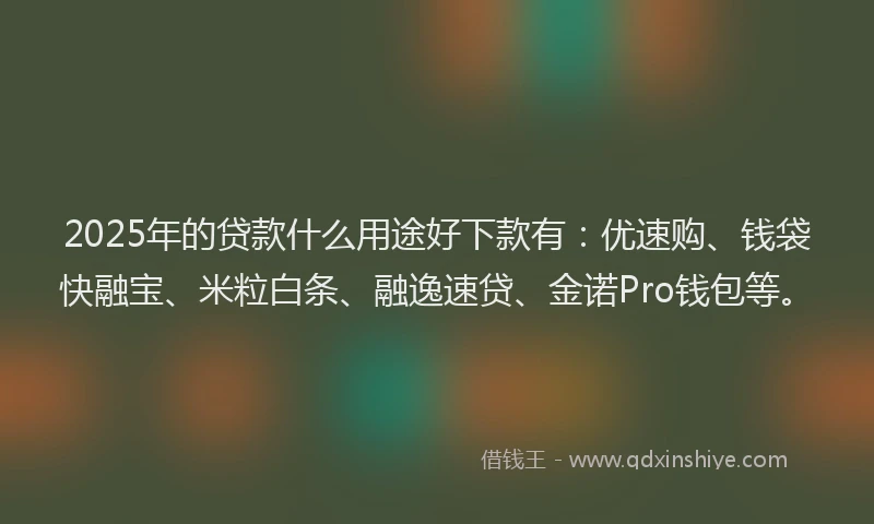 2025年的贷款什么用途好下款有：优速购、钱袋快融宝、米粒白条、融逸速贷、金诺Pro钱包等。