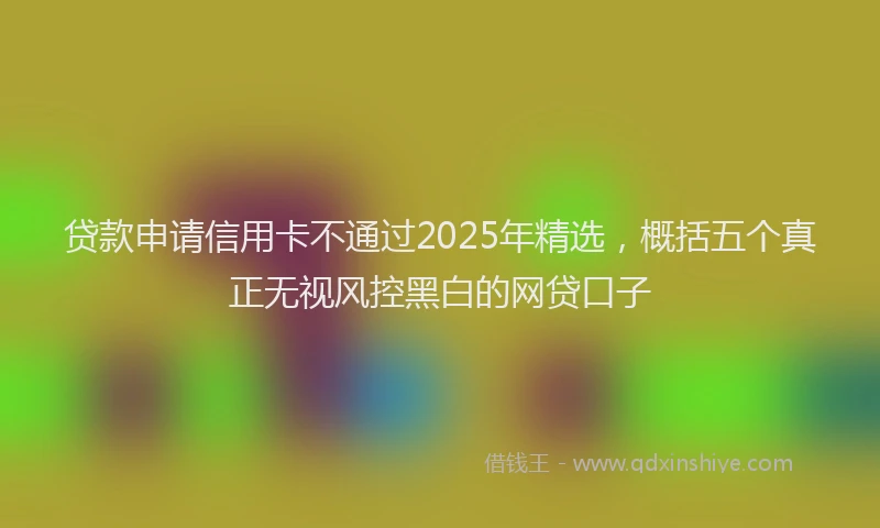 贷款申请信用卡不通过2025年精选，概括五个真正无视风控黑白的网贷口子