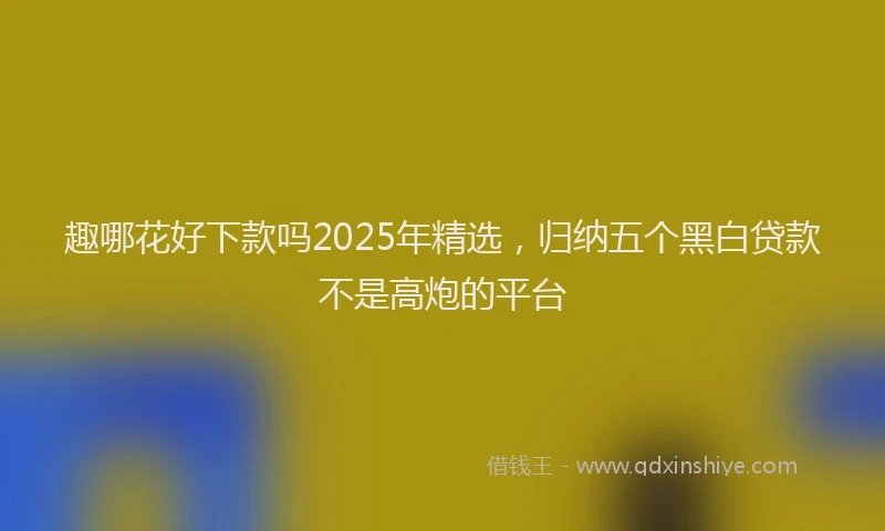趣哪花好下款吗2025年精选，归纳五个黑白贷款不是高炮的平台