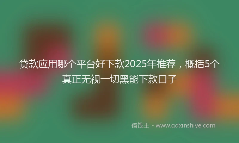 贷款应用哪个平台好下款2025年推荐，概括5个真正无视一切黑能下款口子