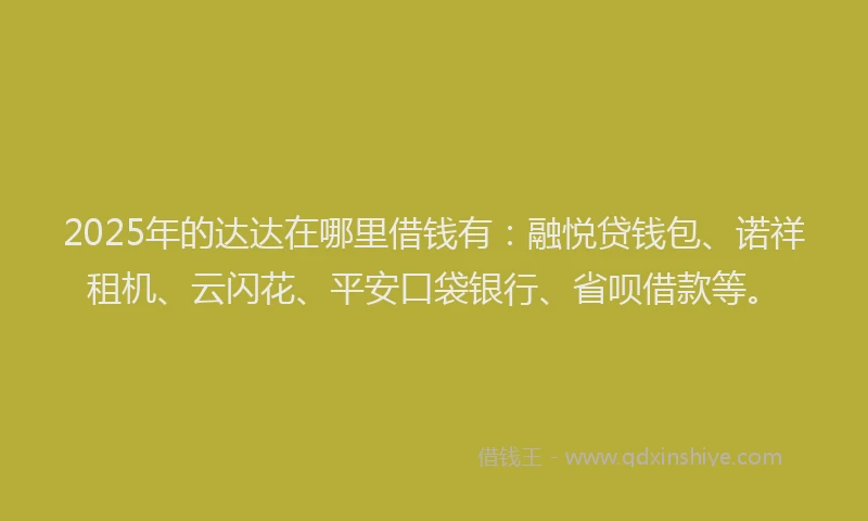 2025年的达达在哪里借钱有：融悦贷钱包、诺祥租机、云闪花、平安口袋银行、省呗借款等。