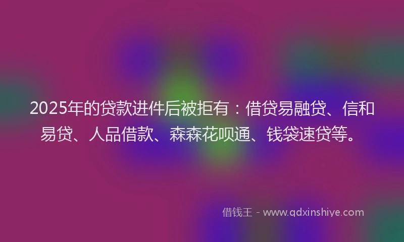 2025年的贷款进件后被拒有：借贷易融贷、信和易贷、人品借款、森森花呗通、钱袋速贷等。