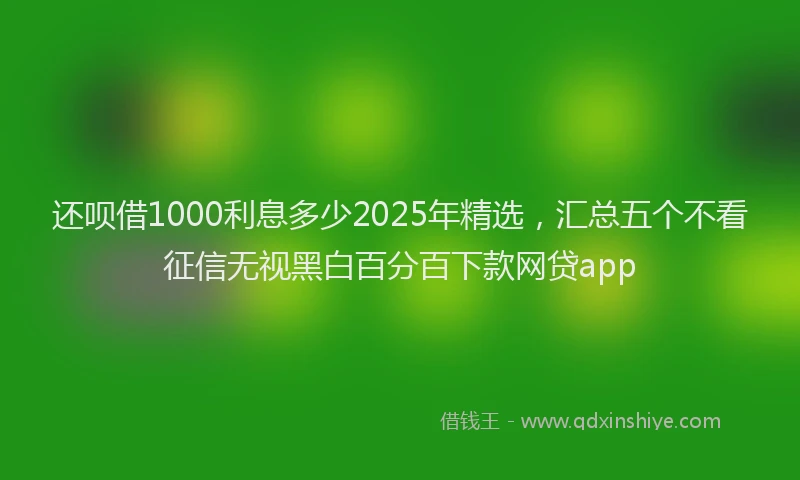 还呗借1000利息多少2025年精选，汇总五个不看征信无视黑白百分百下款网贷app