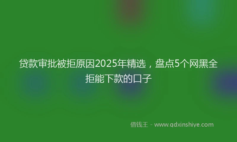 贷款审批被拒原因2025年精选，盘点5个网黑全拒能下款的口子