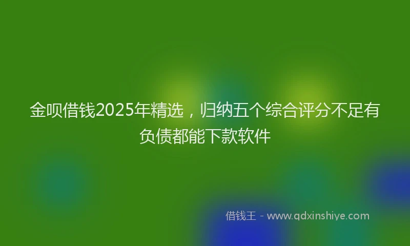 金呗借钱2025年精选，归纳五个综合评分不足有负债都能下款软件