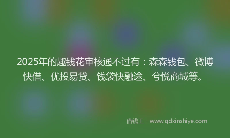 2025年的趣钱花审核通不过有：森森钱包、微博快借、优投易贷、钱袋快融途、兮悦商城等。