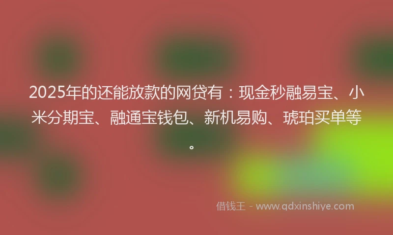 2025年的还能放款的网贷有：现金秒融易宝、小米分期宝、融通宝钱包、新机易购、琥珀买单等。