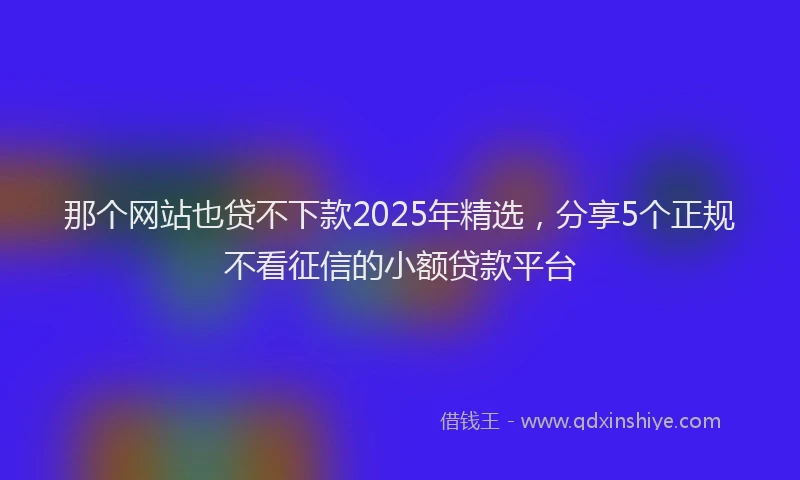 那个网站也贷不下款2025年精选，分享5个正规不看征信的小额贷款平台