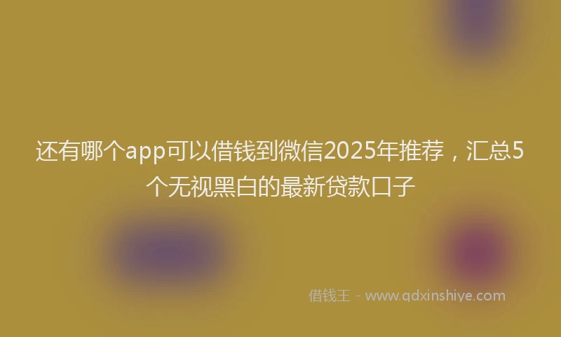 还有哪个app可以借钱到微信2025年推荐，汇总5个无视黑白的最新贷款口子