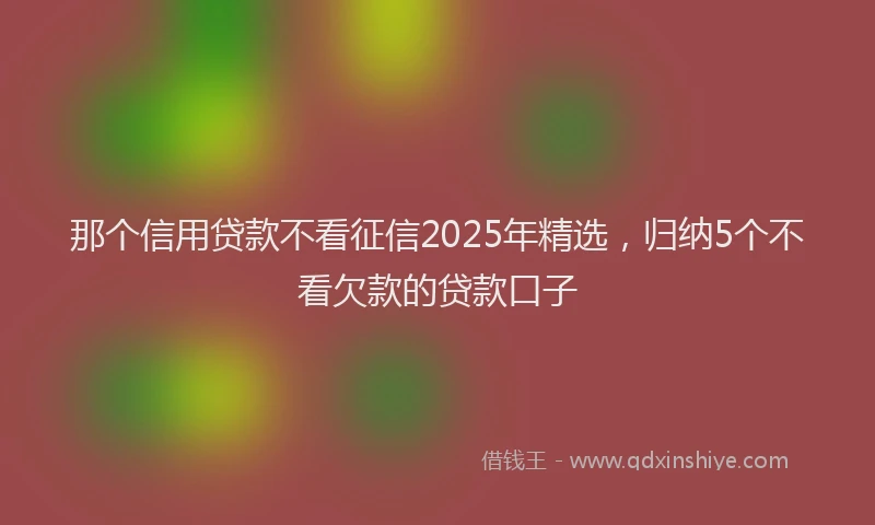 那个信用贷款不看征信2025年精选，归纳5个不看欠款的贷款口子