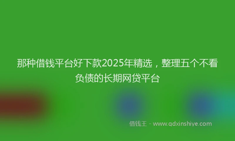 那种借钱平台好下款2025年精选，整理五个不看负债的长期网贷平台