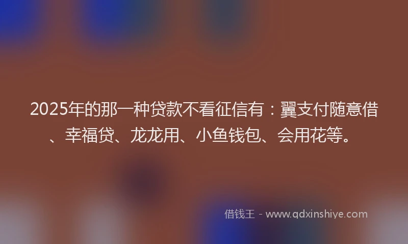 2025年的那一种贷款不看征信有：翼支付随意借、幸福贷、龙龙用、小鱼钱包、会用花等。