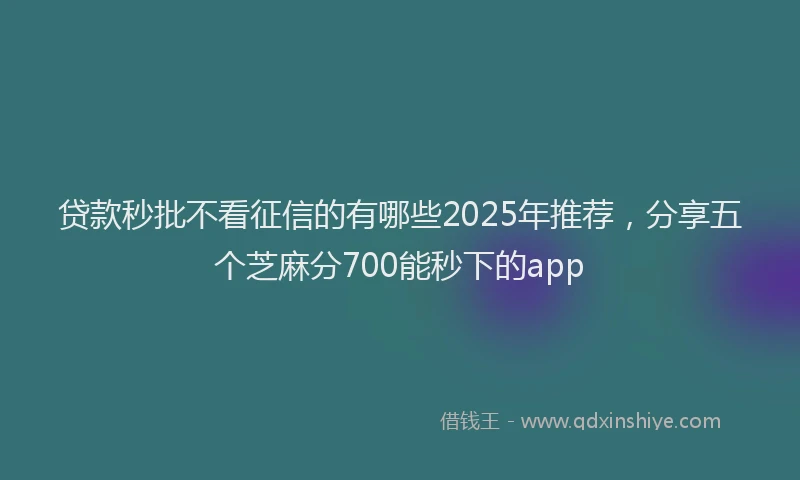 贷款秒批不看征信的有哪些2025年推荐，分享五个芝麻分700能秒下的app