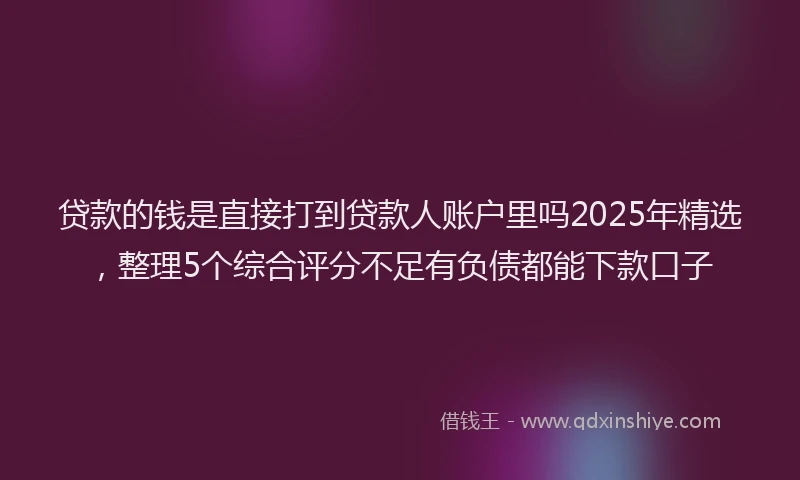 贷款的钱是直接打到贷款人账户里吗2025年精选，整理5个综合评分不足有负债都能下款口子