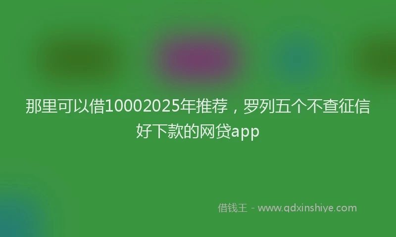 那里可以借10002025年推荐，罗列五个不查征信好下款的网贷app