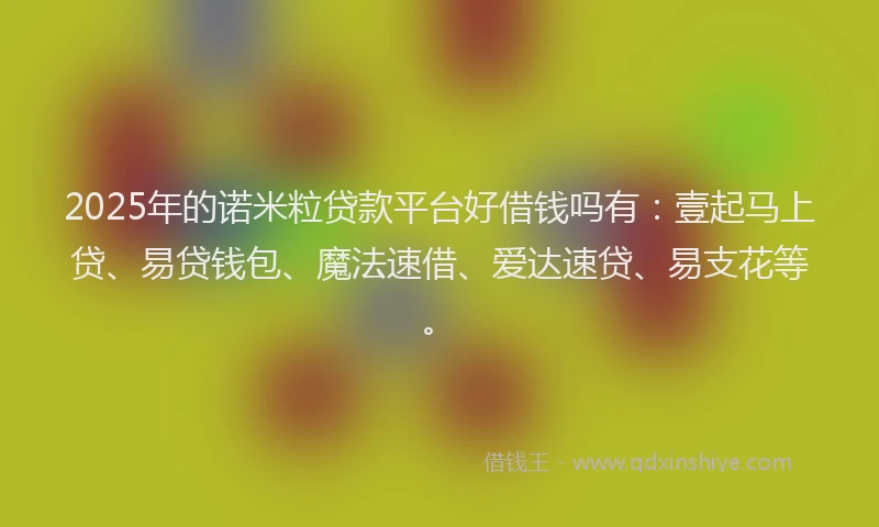 2025年的诺米粒贷款平台好借钱吗有：壹起马上贷、易贷钱包、魔法速借、爱达速贷、易支花等。