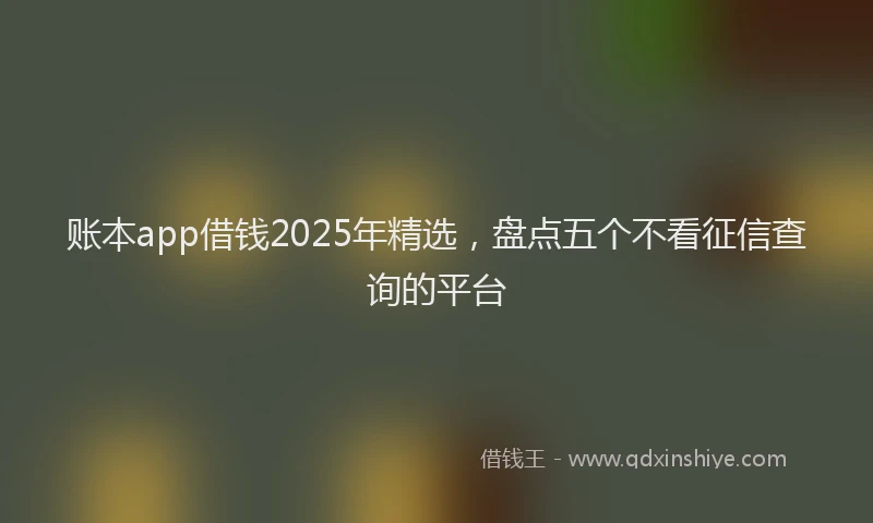 账本app借钱2025年精选，盘点五个不看征信查询的平台