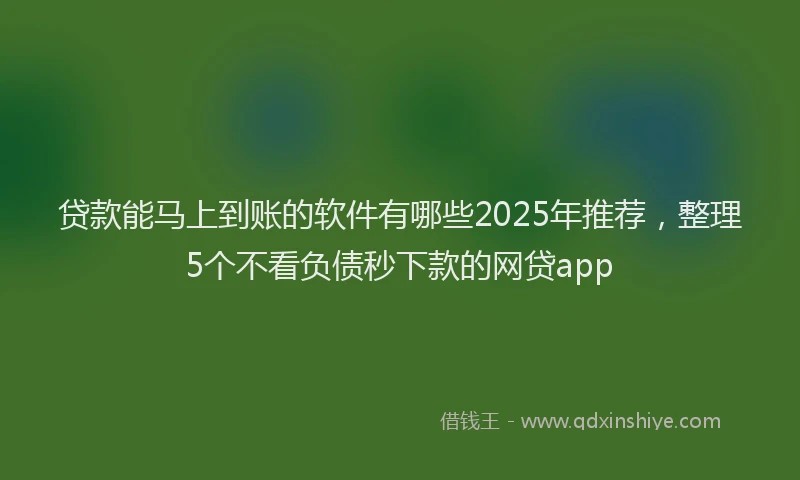 贷款能马上到账的软件有哪些2025年推荐，整理5个不看负债秒下款的网贷app