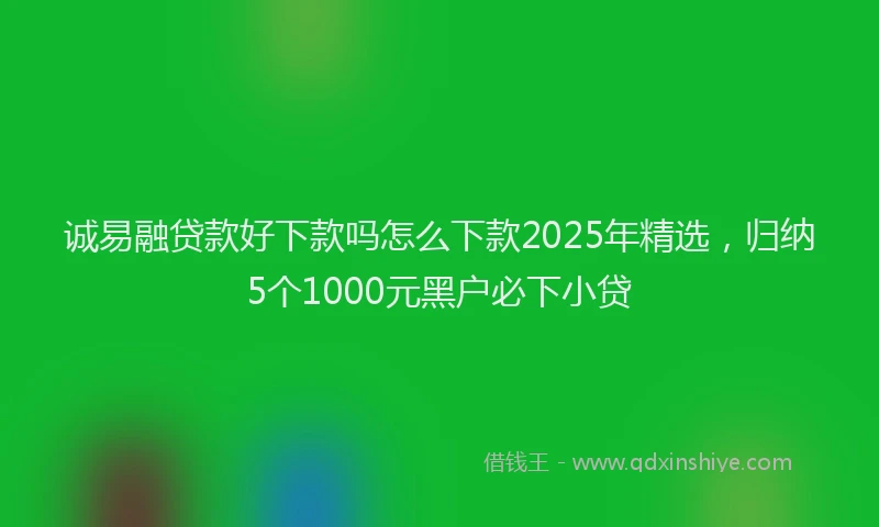 诚易融贷款好下款吗怎么下款2025年精选，归纳5个1000元黑户必下小贷