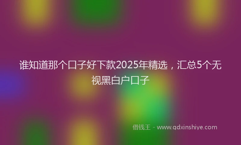 谁知道那个口子好下款2025年精选，汇总5个无视黑白户口子