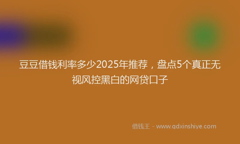 豆豆借钱利率多少2025年推荐，盘点5个真正无视风控黑白的网贷口子
