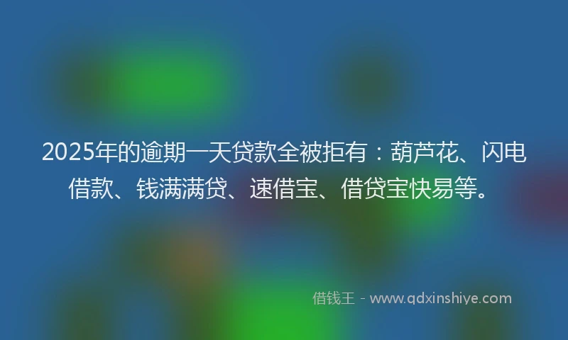 2025年的逾期一天贷款全被拒有：葫芦花、闪电借款、钱满满贷、速借宝、借贷宝快易等。