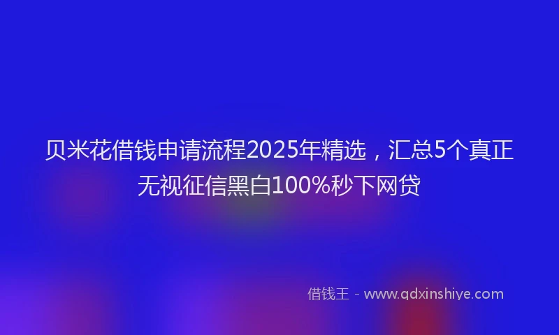 贝米花借钱申请流程2025年精选，汇总5个真正无视征信黑白100%秒下网贷