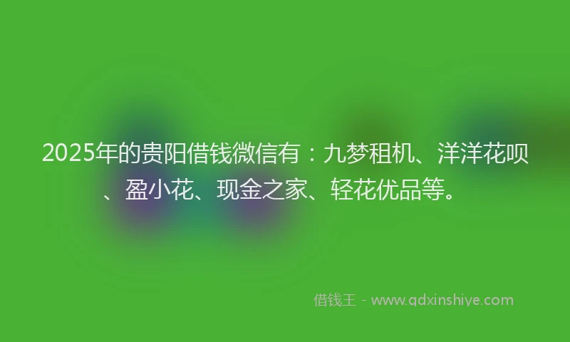 2025年的贵阳借钱微信有：九梦租机、洋洋花呗、盈小花、现金之家、轻花优品等。