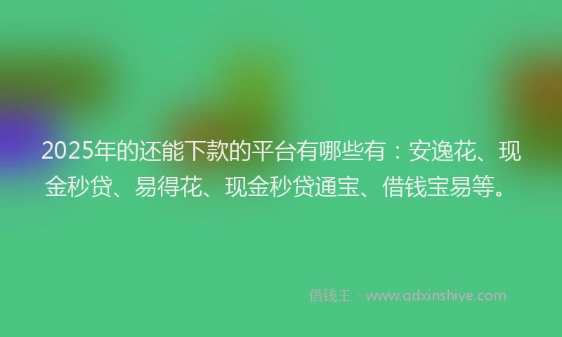 2025年的还能下款的平台有哪些有：安逸花、现金秒贷、易得花、现金秒贷通宝、借钱宝易等。