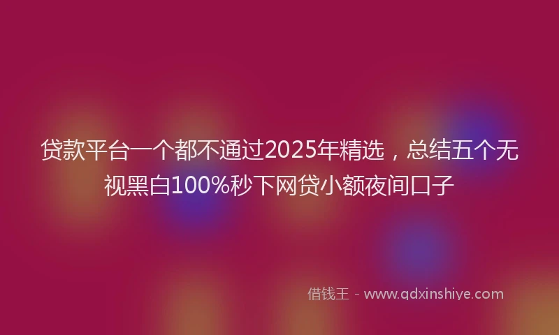 贷款平台一个都不通过2025年精选，总结五个无视黑白100%秒下网贷小额夜间口子