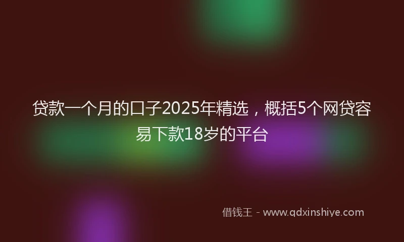 贷款一个月的口子2025年精选，概括5个网贷容易下款18岁的平台
