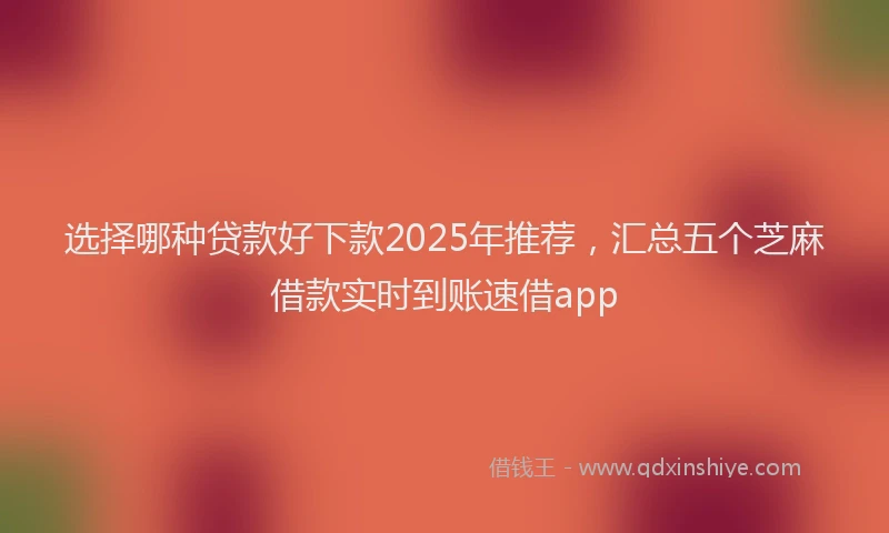 选择哪种贷款好下款2025年推荐，汇总五个芝麻借款实时到账速借app