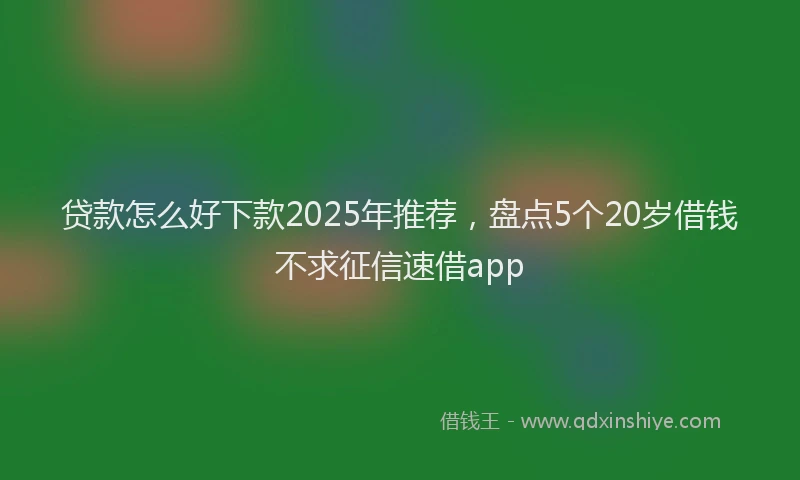 贷款怎么好下款2025年推荐，盘点5个20岁借钱不求征信速借app