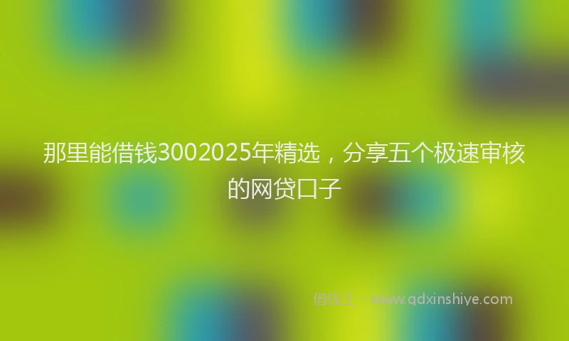 那里能借钱3002025年精选，分享五个极速审核的网贷口子