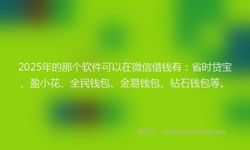 2025年的那个软件可以在微信借钱有：省时贷宝、盈小花、全民钱包、金易钱包、钻石钱包等。