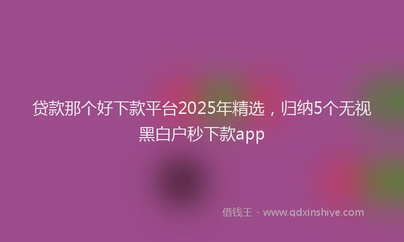贷款那个好下款平台2025年精选，归纳5个无视黑白户秒下款app