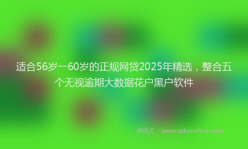 适合56岁一60岁的正规网贷2025年精选，整合五个无视逾期大数据花户黑户软件